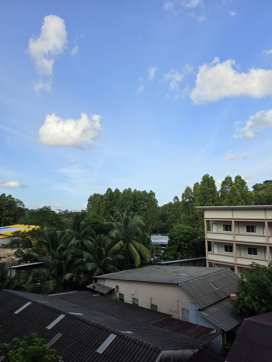3555855_0 คอนโด The Scene Condo รูปที่ 4
