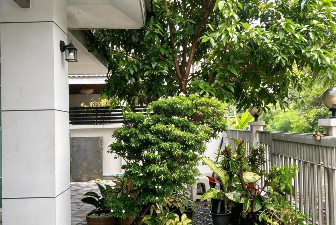 บ้านเดี่ยวชั้นเดียว รูปที่ 8