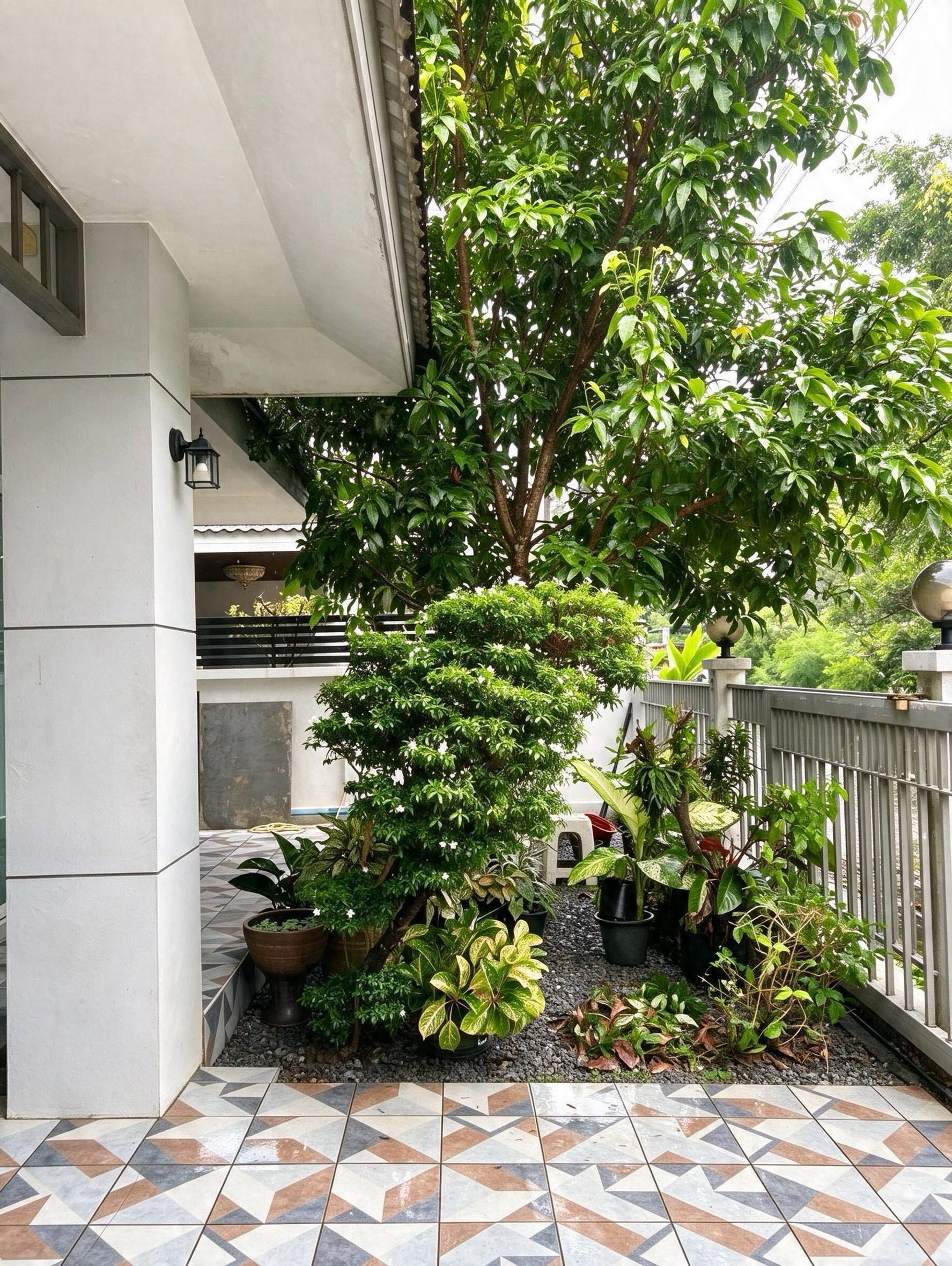 บ้านเดี่ยวชั้นเดียว รูปที่ 8